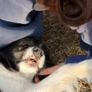 솔방울민박 이미지