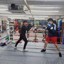 엘리트복싱체육관 이미지