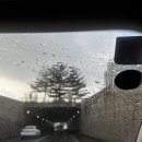 붕붕샤워세차장 이미지