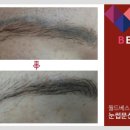 타투월드 이미지