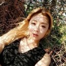 카라여관 이미지