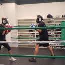 역동복싱 이미지