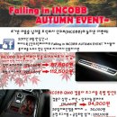 인코브(INCOBB)-인천지사 / INCOBB RENAULT KOLEOS QM6 컵홀터 조그셔틀 9월 행사!! 이미지