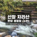 신일상회 | 경남 산청군 지리산 반달 캠핑장 후기 1편 &lt;C8 사이트&gt;