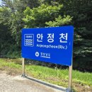 안정천 이미지