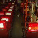 홍일한의원 이미지