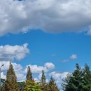 청우세탁소 이미지