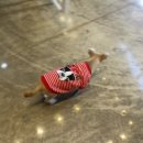 나눔동물병원 이미지