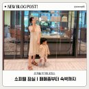 소피텔 잠실ㅣ아기랑 함께 페메종부터 2박3일 호캉스 후기 (키즈라운지, 수영장. 조식)