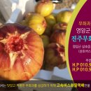 광주농장 | 무화과 잘~ 주문하고 맛있게 먹는 법