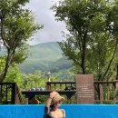 아름드리펜션 이미지