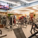 고릴라 멀티짐 이미지