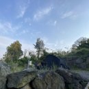 벨리타캠핑장 이미지