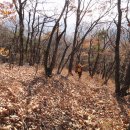 여차리농장 | 석룡산~금동산 /경남 김해