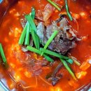 초당본가 이미지