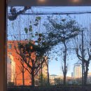 브라이트 사이즈(Bright Size)