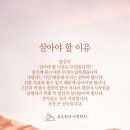 대한철강 이미지