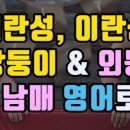 패밀리트리(family tree) 이미지