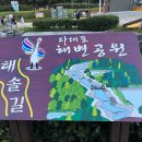 다대포해수욕장-낙조분수 이미지