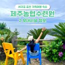 25시 올레 노래연습장 | 표선 숙소 제주농협수련원 부대시설 ② 조식 마트 카페 맛집 헬스장 오락실 노래방 산책길