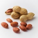 땅콩동물병원 이미지