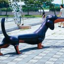 유리섬미술관 이미지