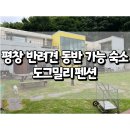 도그밀리 이미지