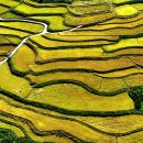 사포마을 이미지