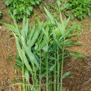 용선농장 이미지