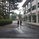 미성민박 이미지