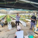 성현1농장 이미지