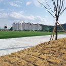 광양광영풋살장 이미지