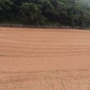 경보공인중개사사무소 이미지