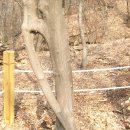 늠내길3코스 옛길 | 시흥 늠내길 3코스 옛길