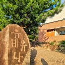 사슴은 꽃이었다 | 사슴은 꽃이었다 대구 가창 풀빌라 대가족 여름휴가