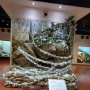 인제산촌민속박물관 이미지