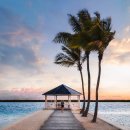 서산버드랜드 이미지