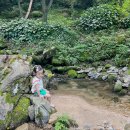 고둔치 솔가 이미지