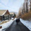 서울승마힐링캠프 이미지