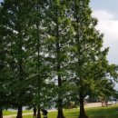 호원대학교 다산관, 연암관 이미지