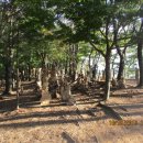 천마산 체육시설 이미지