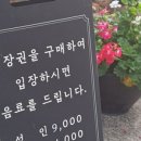 파인트리하우스 이미지