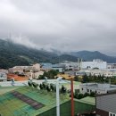 진산대로 네이버블로그