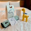 댕댕이꺼 이미지