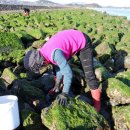 장흥목장 이미지