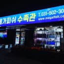 케이포닉스 이미지