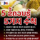 두리안