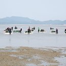 정산포