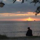 변산 모항 솔향 이미지