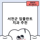 백플란트치과의원 | 서천군 임플란트 치과 비용 및 후기, 정부 지원금 70% 안내-저렴한곳 추천하는곳 비용 후기